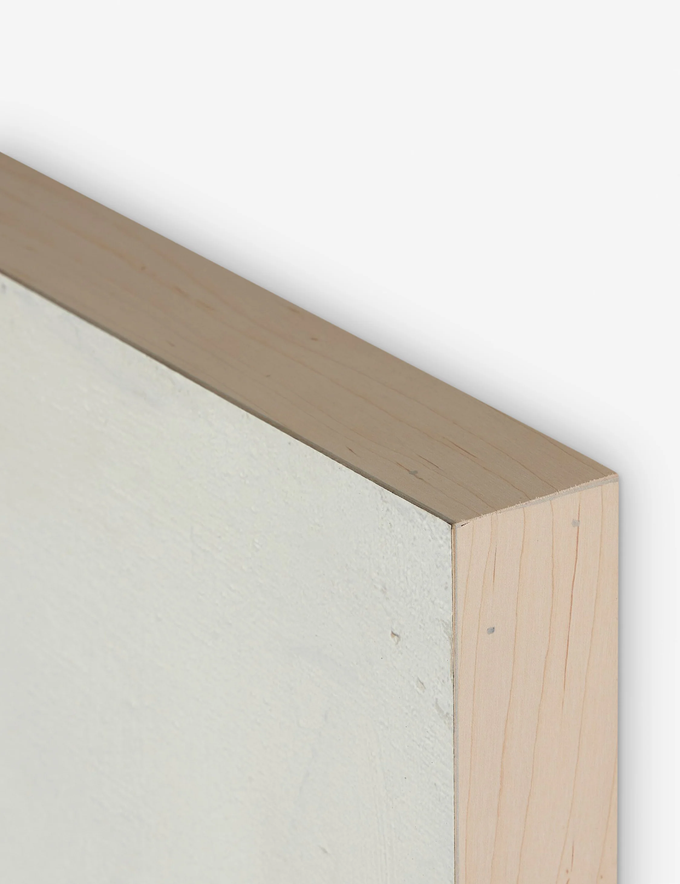 Burro Dia Wall Art by Paul Meyer