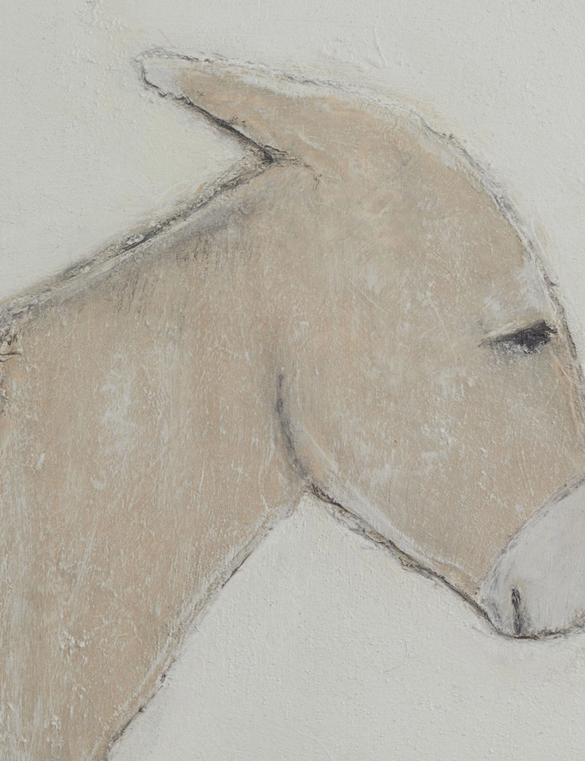 Burro Dia Wall Art by Paul Meyer