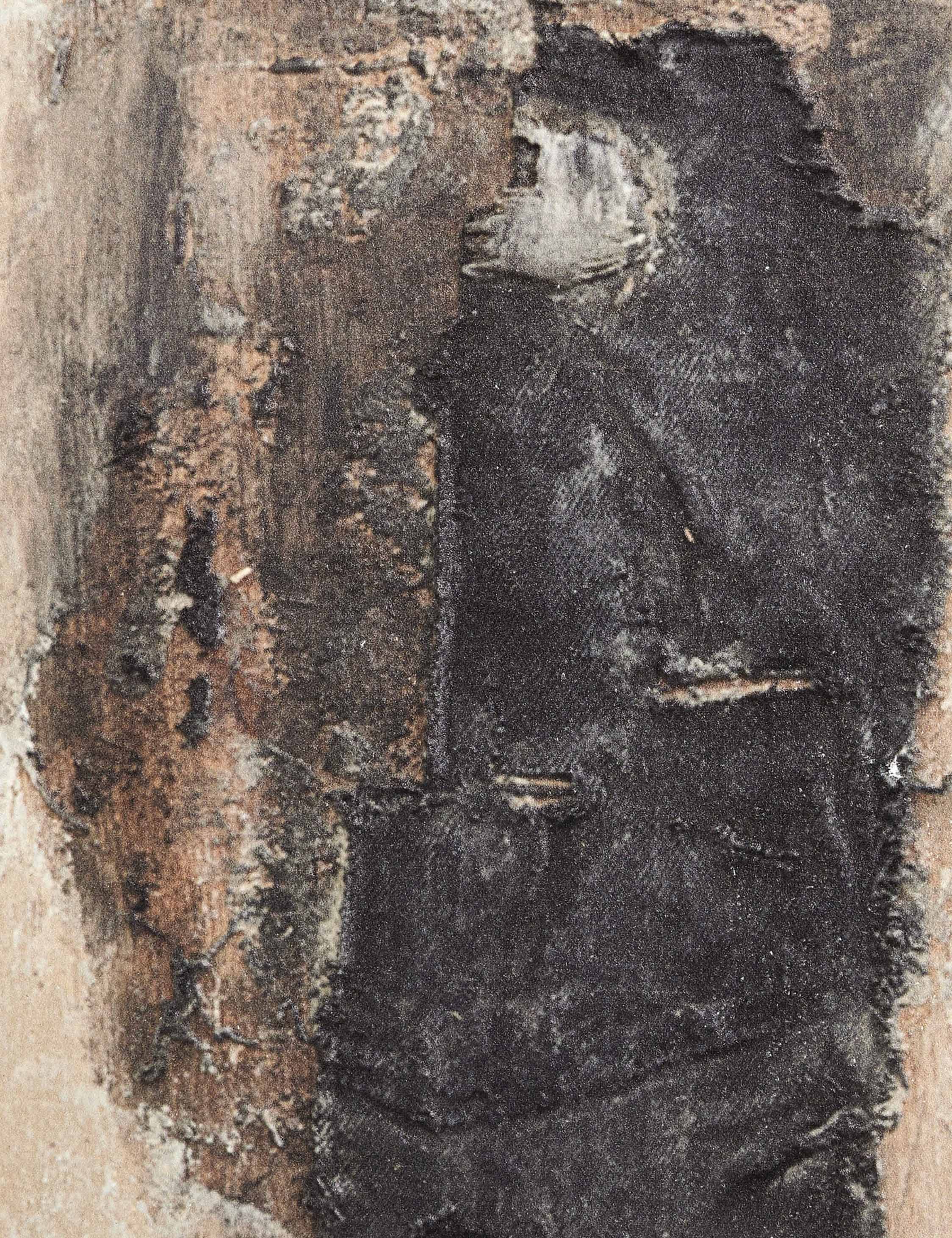 Burro Dia Wall Art by Paul Meyer