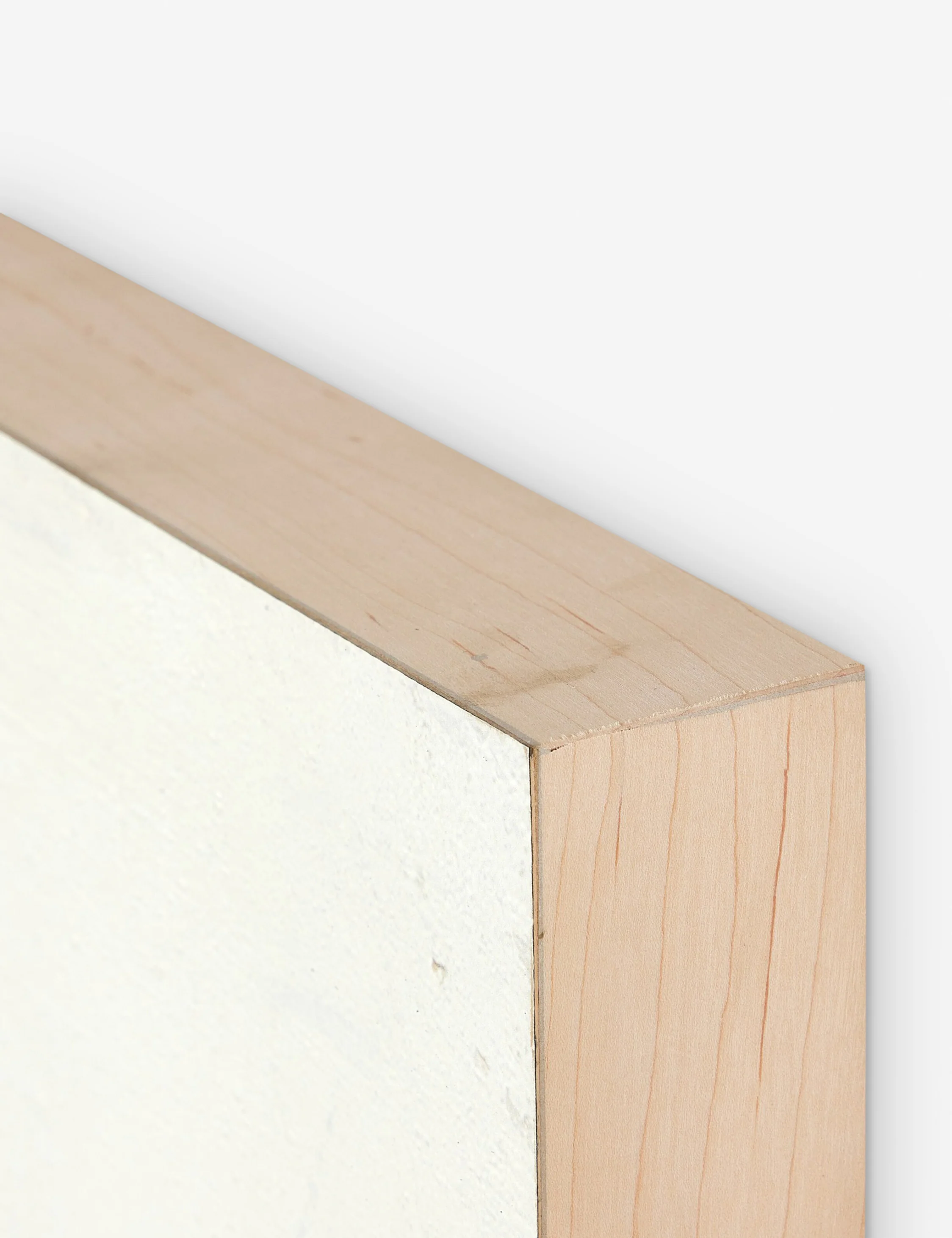 Burro Dia Wall Art by Paul Meyer