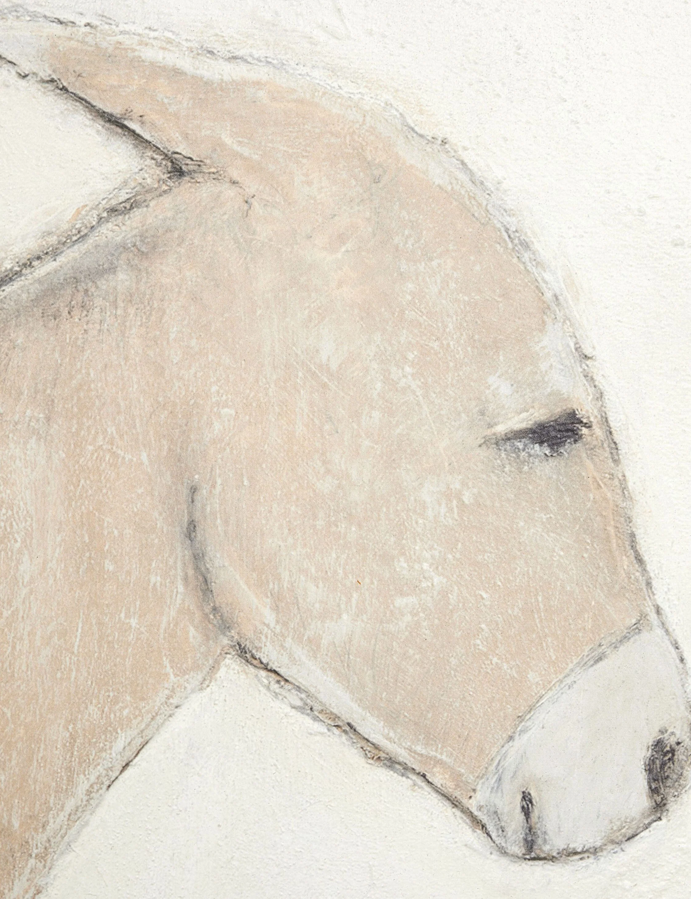 Burro Dia Wall Art by Paul Meyer