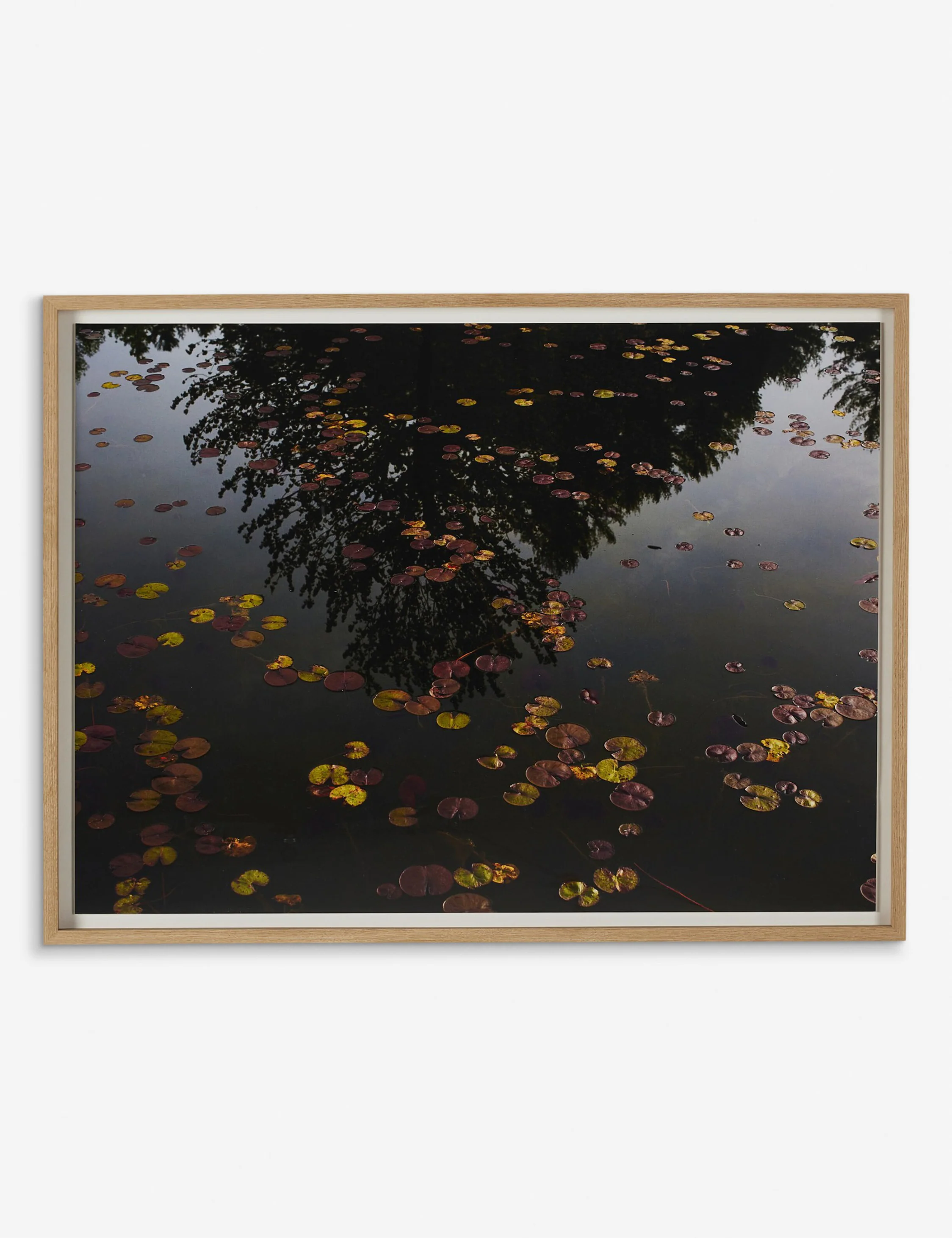 Echo by Shade Degges