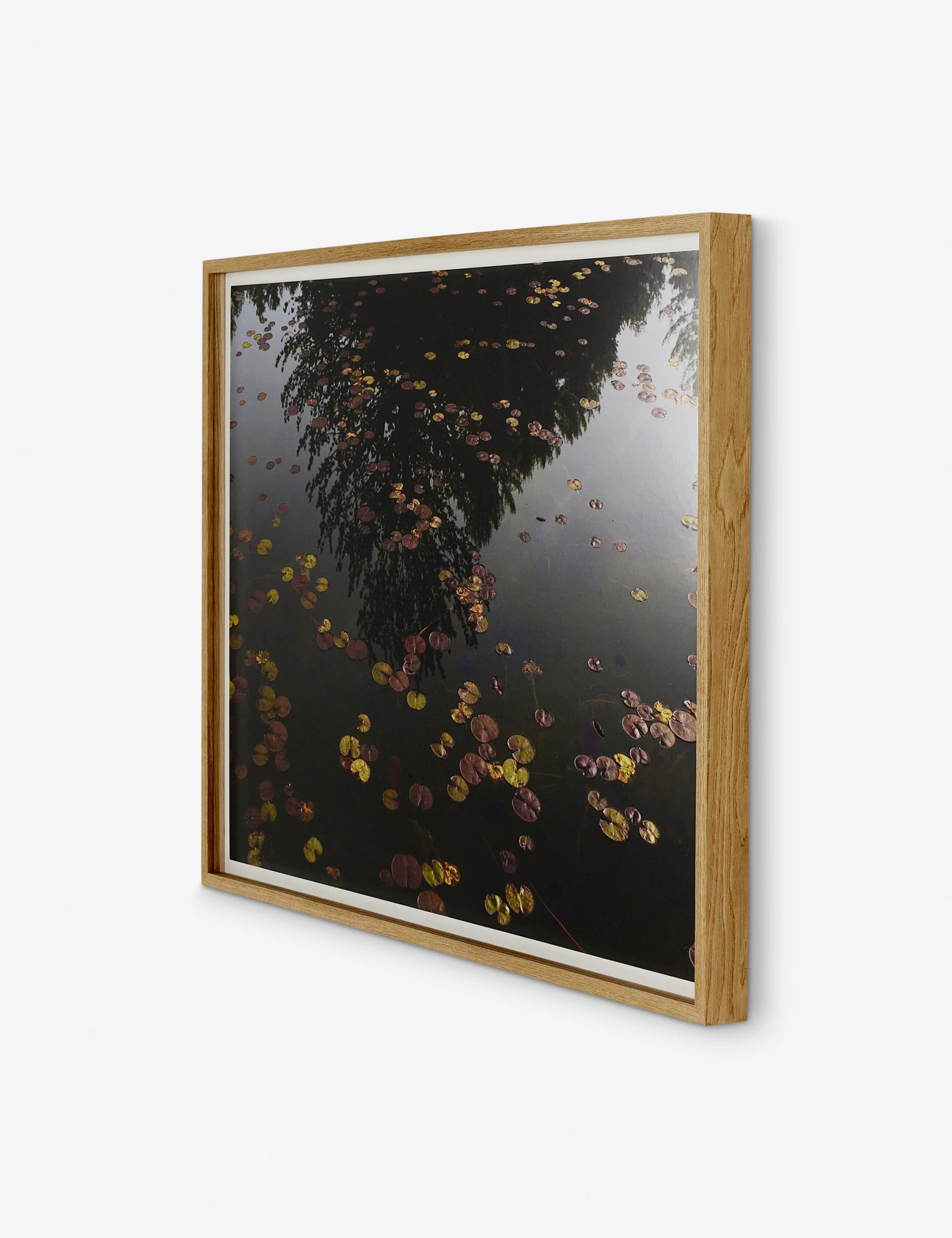 Echo by Shade Degges