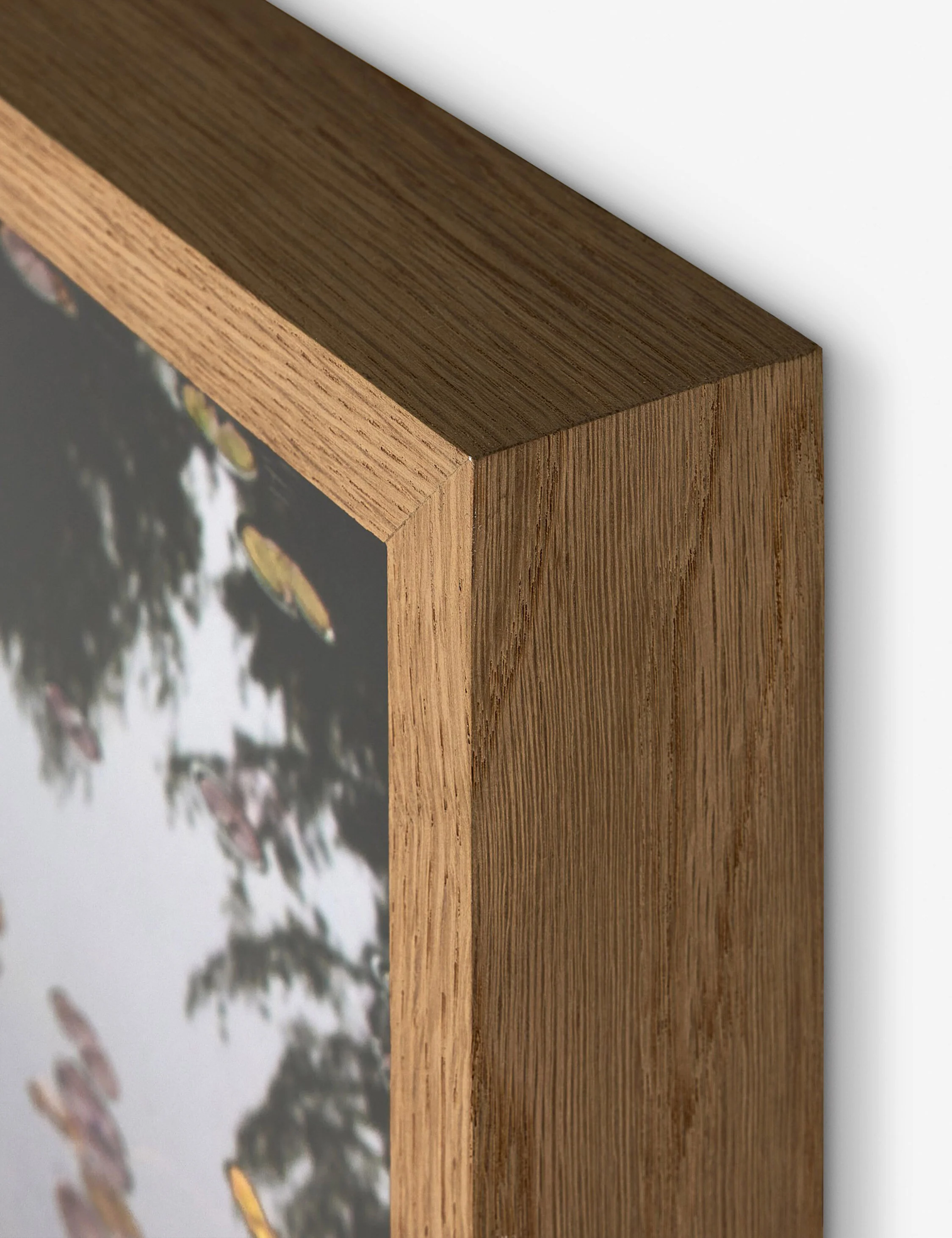 Echo by Shade Degges