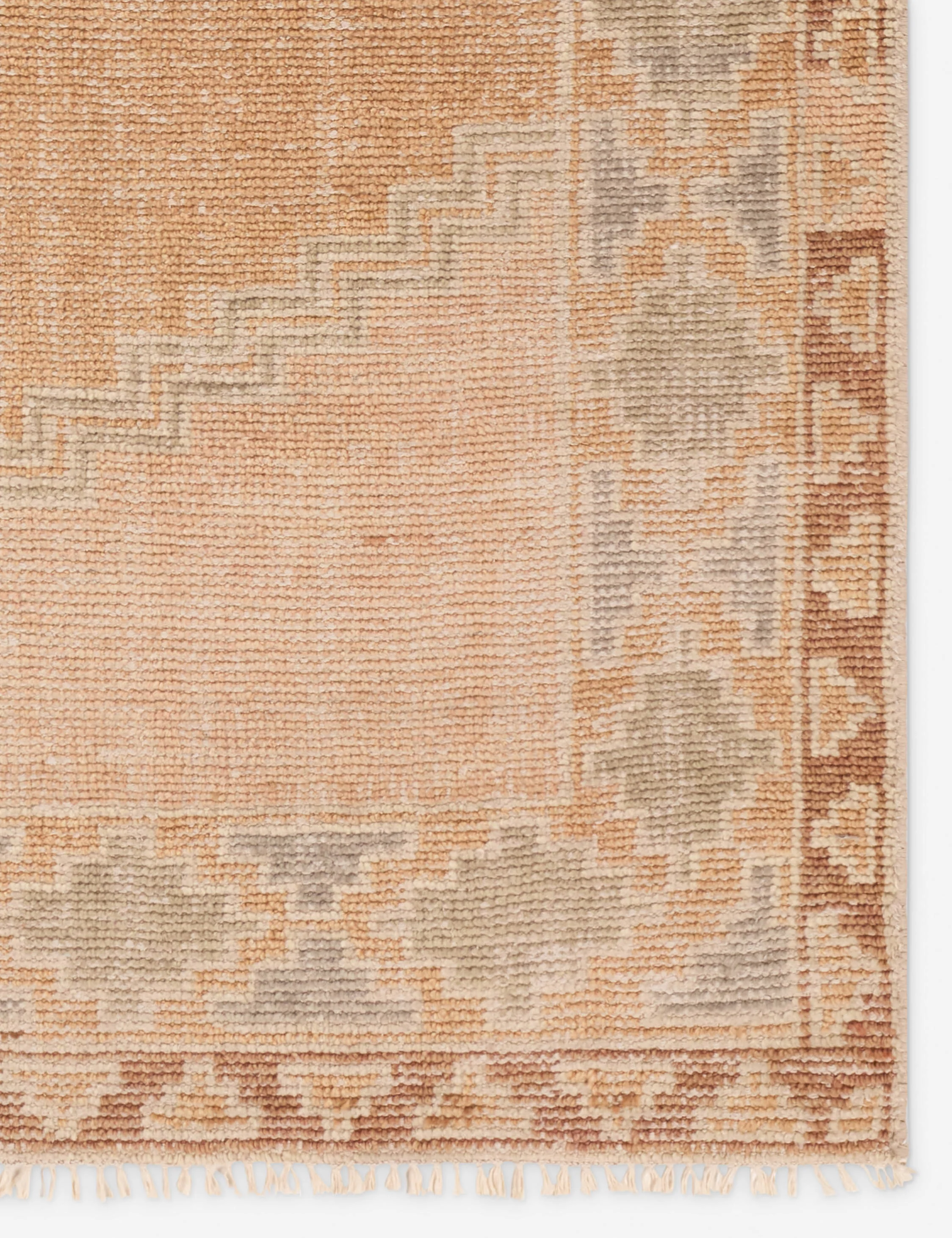 Ambretta Hand-Knotted Wool Rug