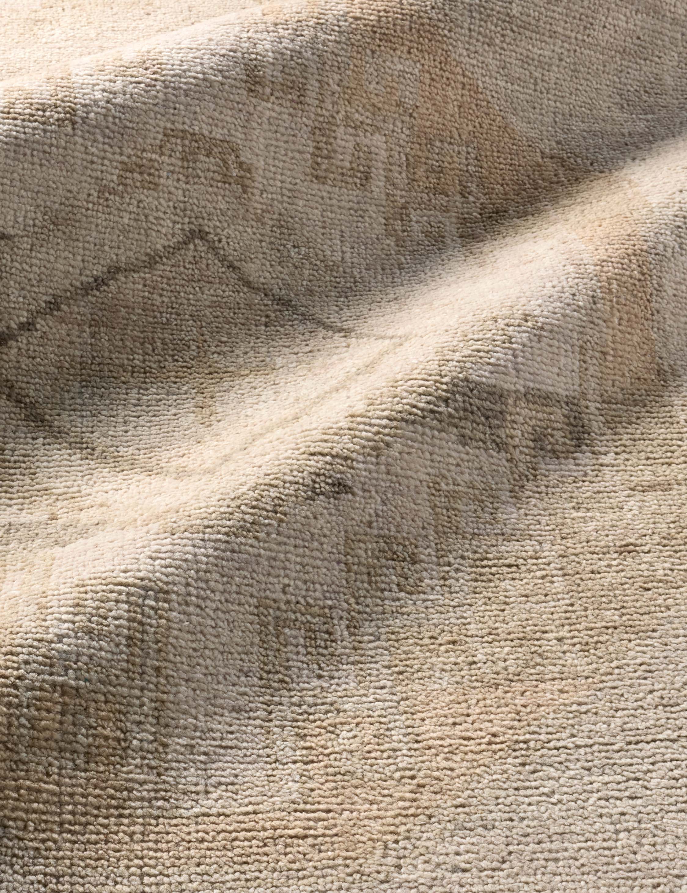 Ambretta Hand-Knotted Wool Rug