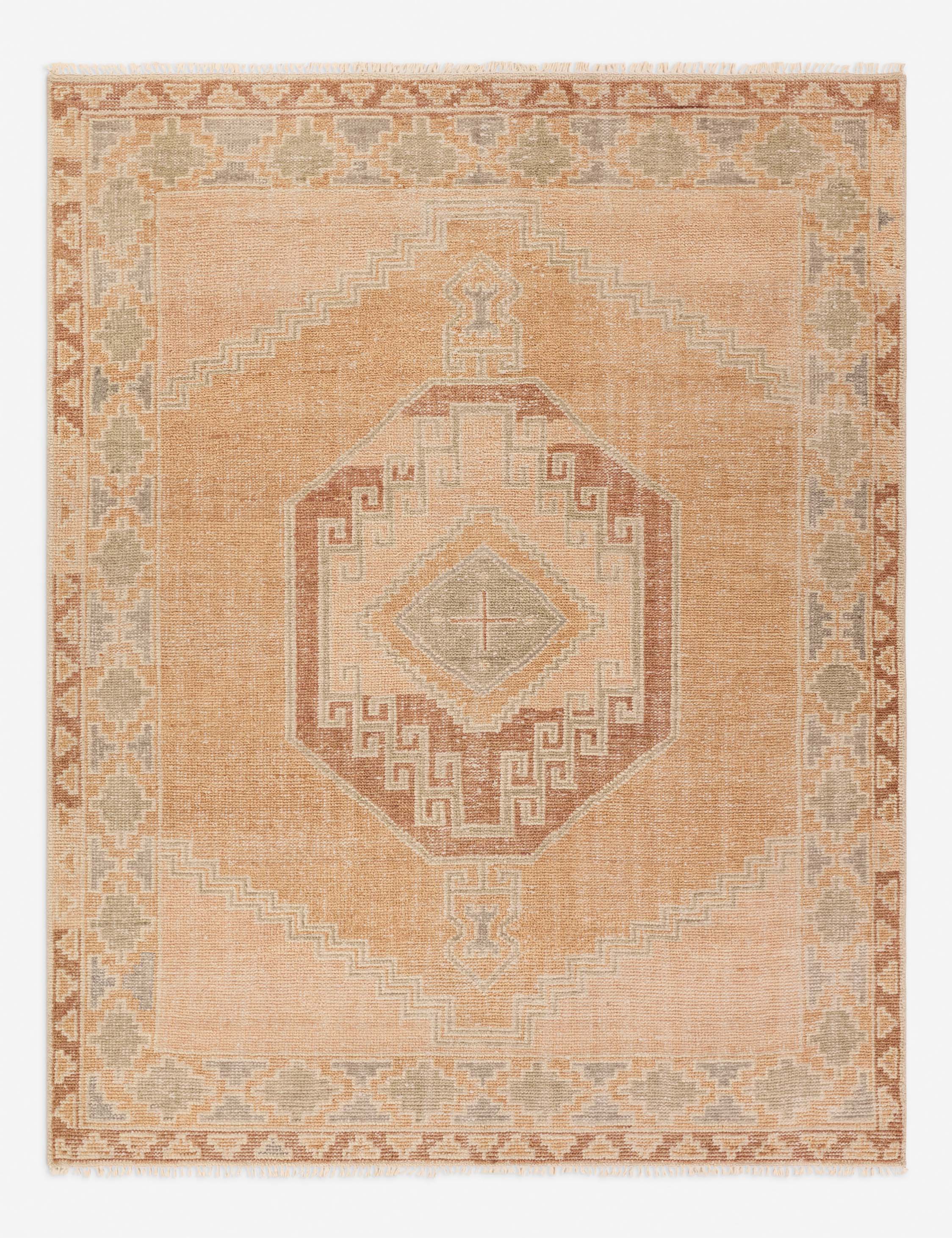 Ambretta Hand-Knotted Wool Rug