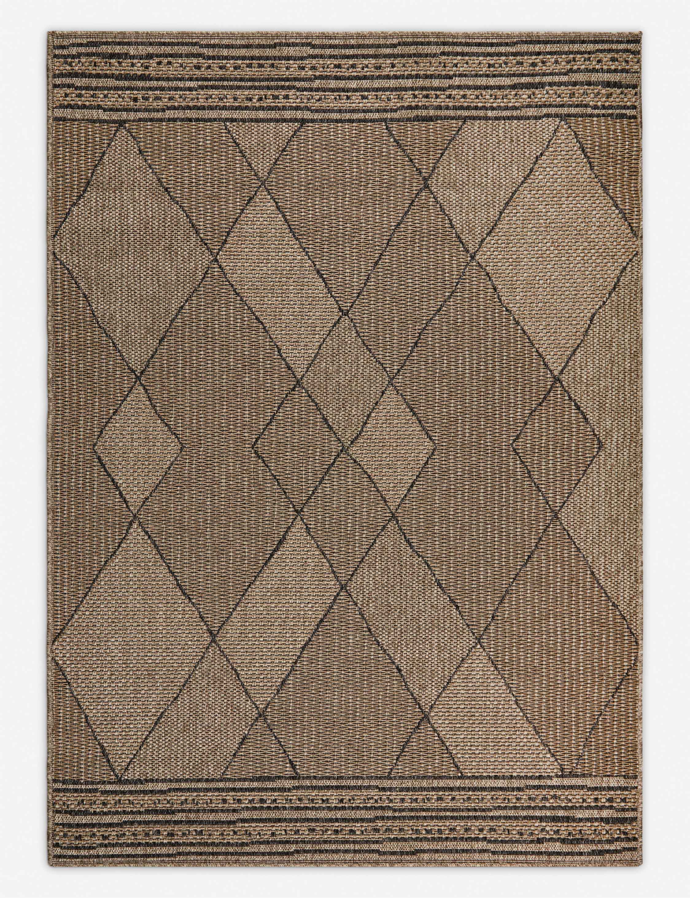 Faiyaz Indoor / Outdoor Rug