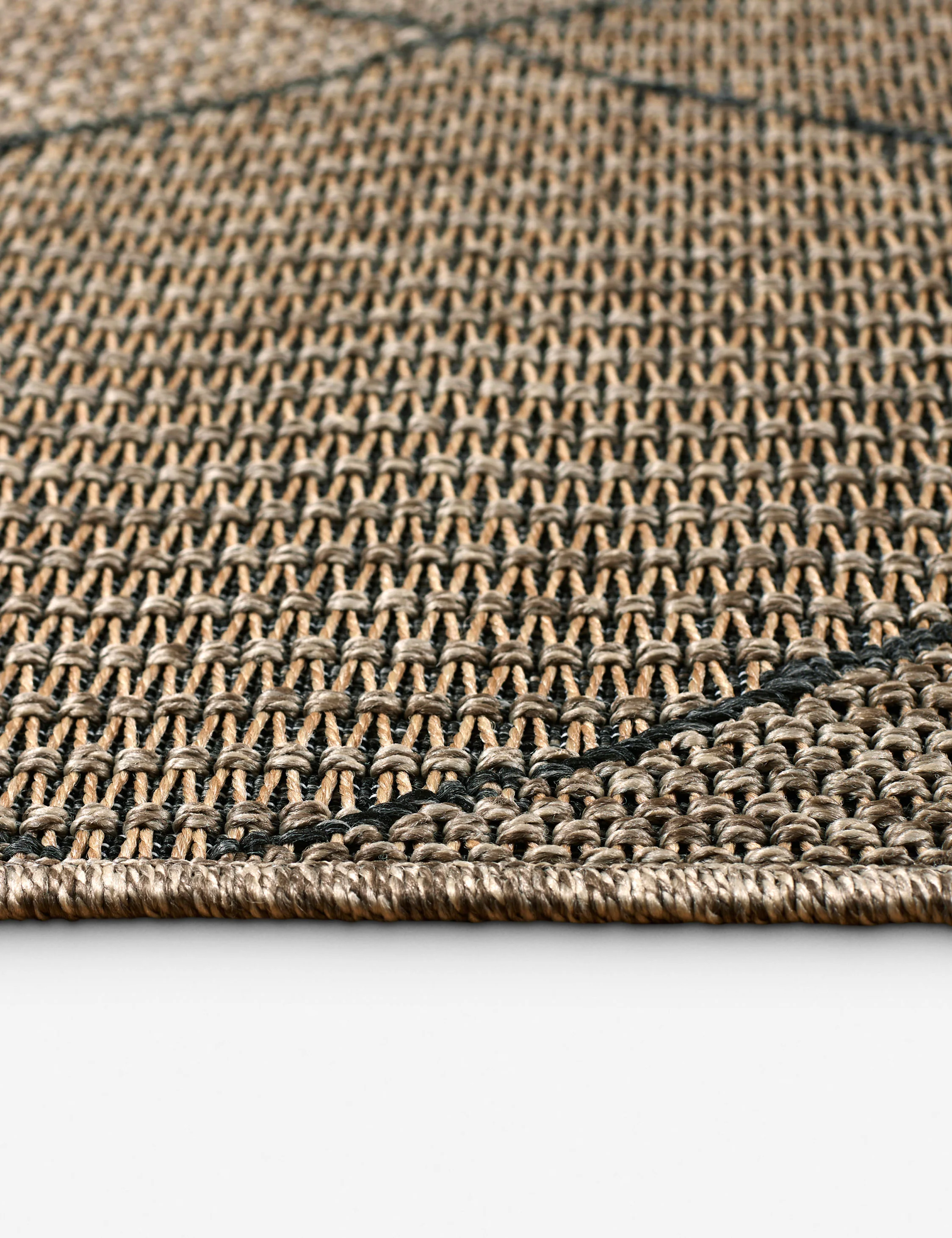 Faiyaz Indoor / Outdoor Rug