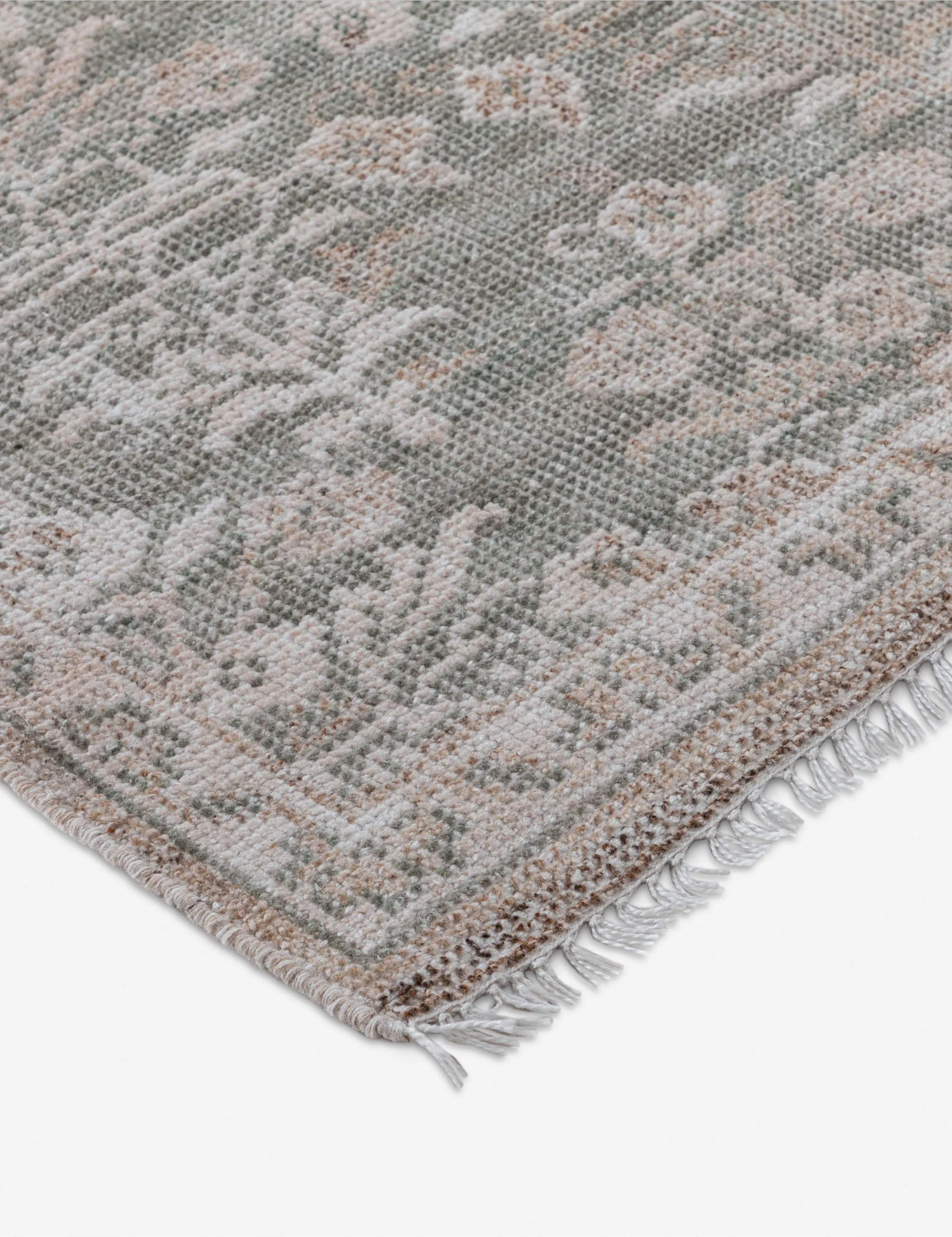 Leslie Hand-Knotted Indoor / Outdoor Rug