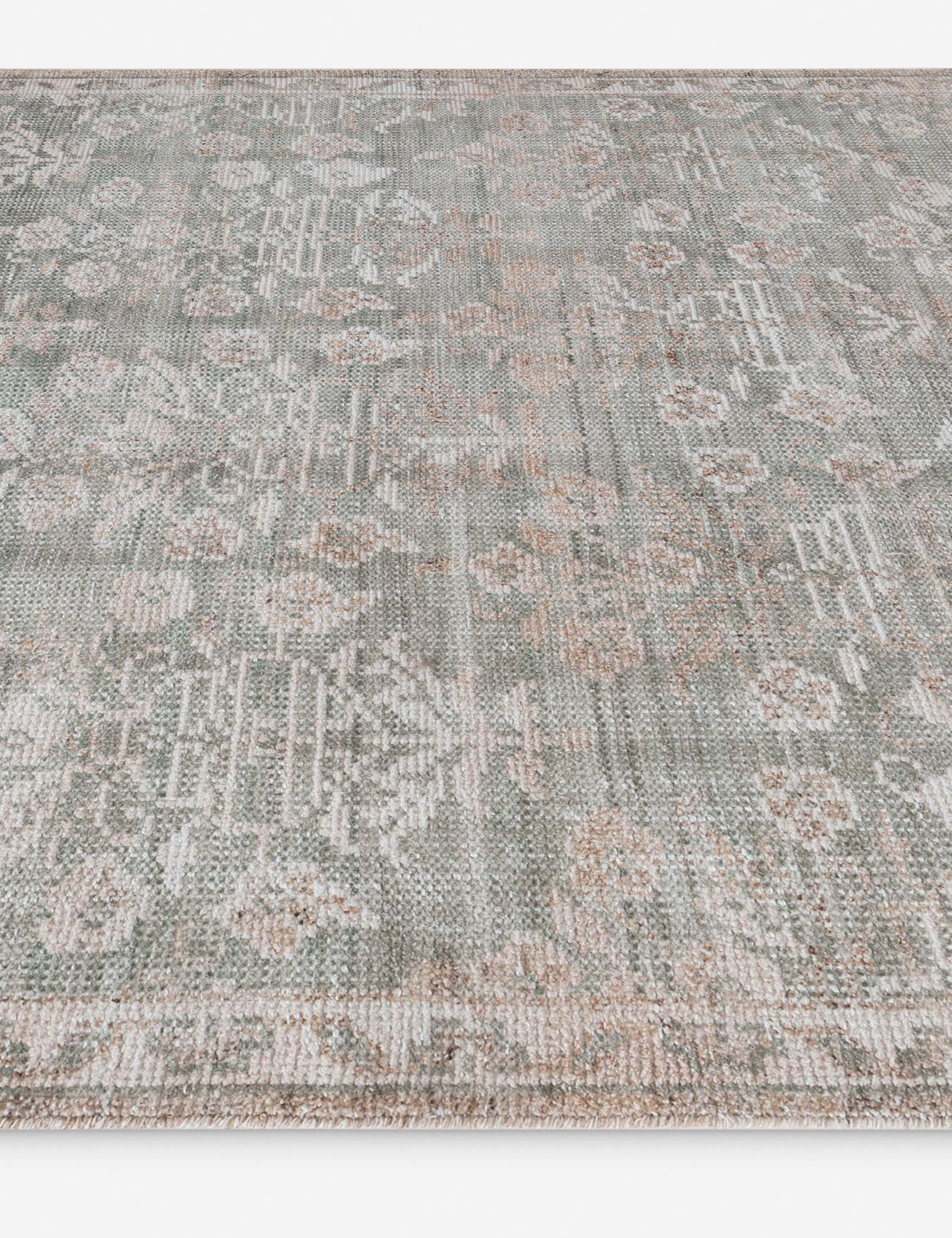 Leslie Hand-Knotted Indoor / Outdoor Rug