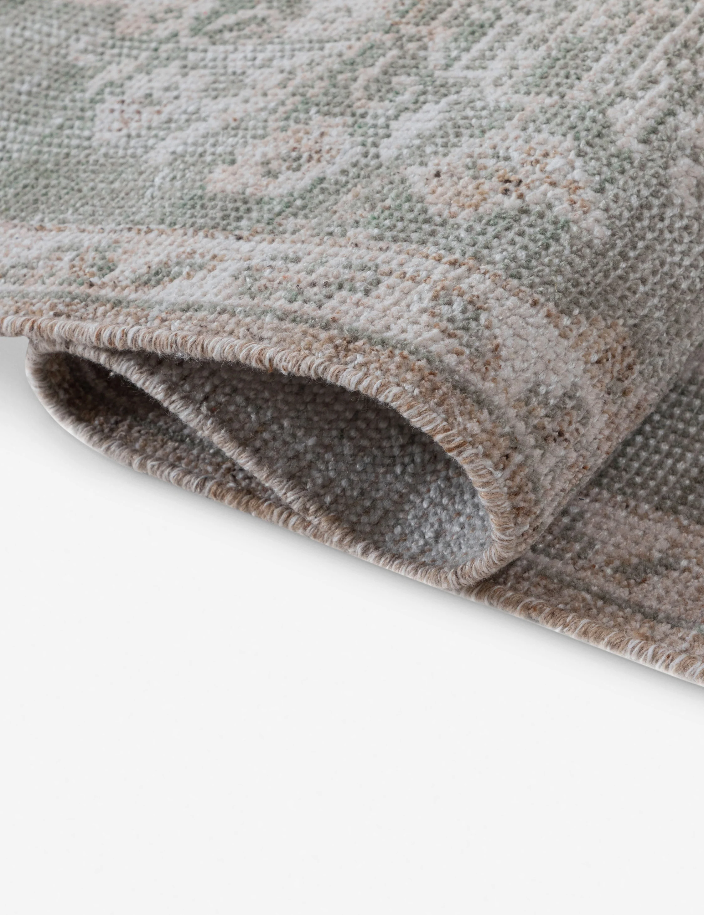 Leslie Hand-Knotted Indoor / Outdoor Rug