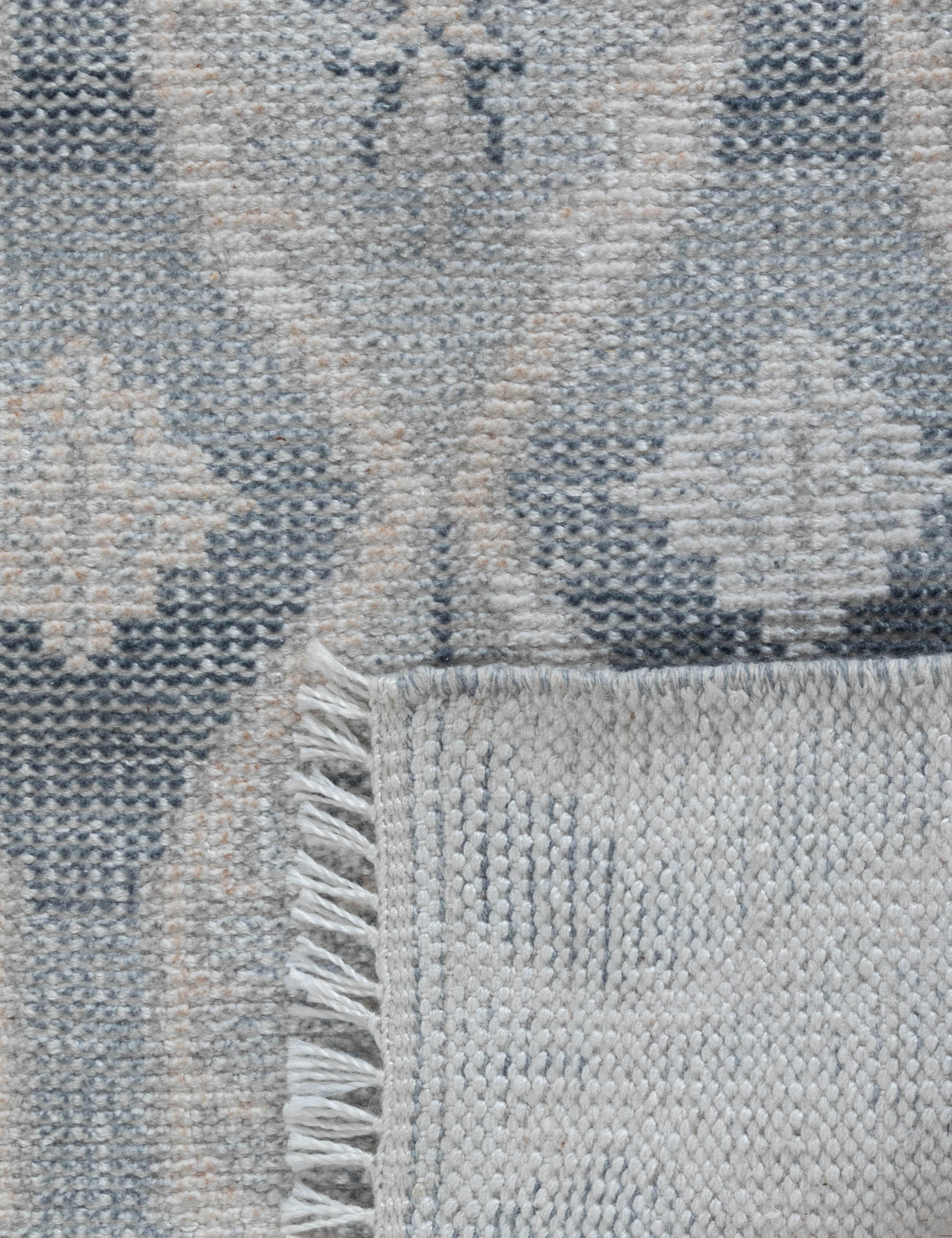 Carrillo Hand-Knotted Indoor / Outdoor Rug